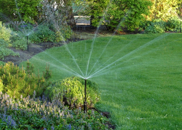 sprinkler